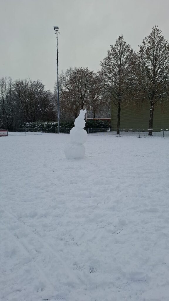 Afbeelding van WhatsApp op 2026-01-03 om 12.40.40_f4e317ed