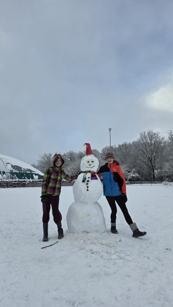 Afbeelding van WhatsApp op 2026-01-03 om 13.17.21_4474a7e8